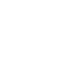 cropped-RS-INTERNATIONAL-LOGO-WHITE.png